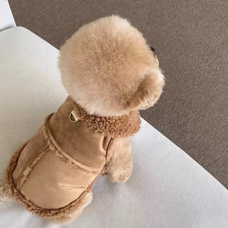 2pcs Dog Cute Vest Clothes Jacket Accessories Small Dog Luxury Autumn Winter Medium Dress Soft Pet Clothing Designer Coat Home