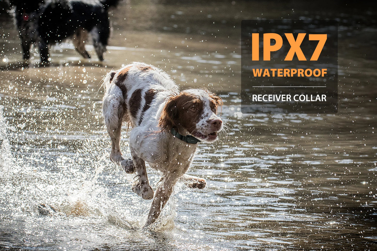 Upgraded Professional Dog Training Collar IPX7 Waterproof Electronic Luxury Pet Dog Shock Collar 1500m Remote