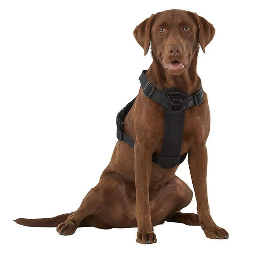 Kong Large Black Dog Harness with Waste Bag Dispenser and Control Handle