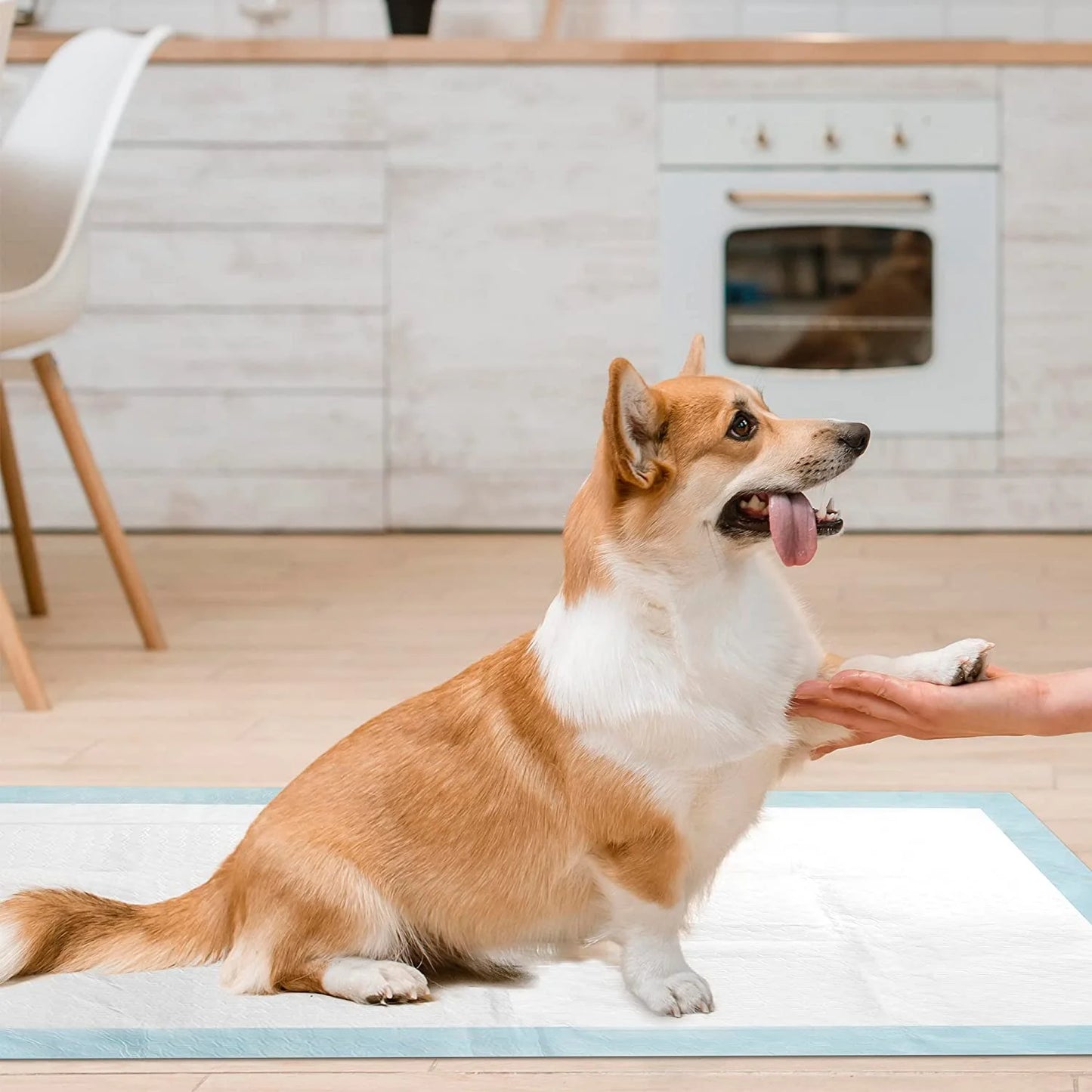 Large 150 Ultra Absorbent Pet Training and Puppy Pads, 23" X 36", Heavy Duty, Quilted, 65 Grams with Odor Blocking, Potty Training Pads for Pets and Puppies