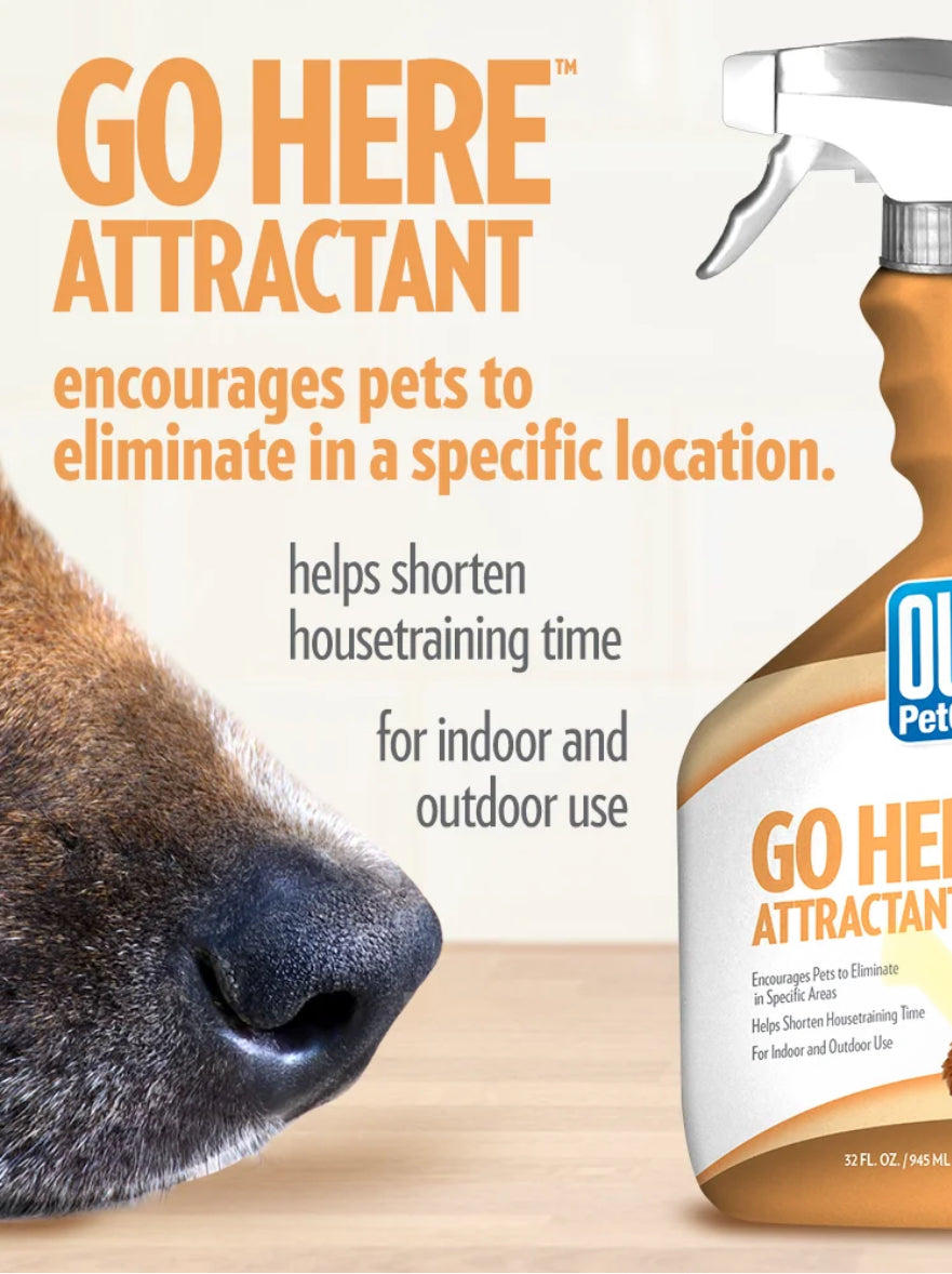 Out! Petcare Go Here Potty Training Attractant Spray, 32oz.