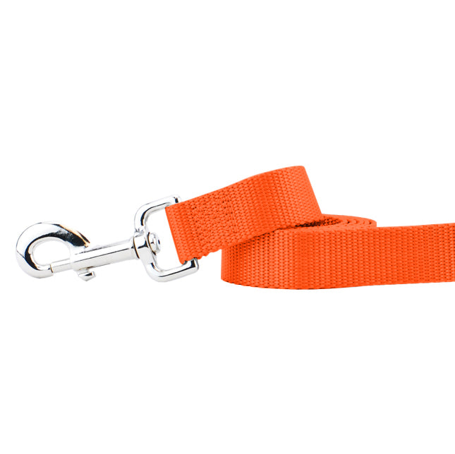 Rust Nylon Dog Leash (1" only)