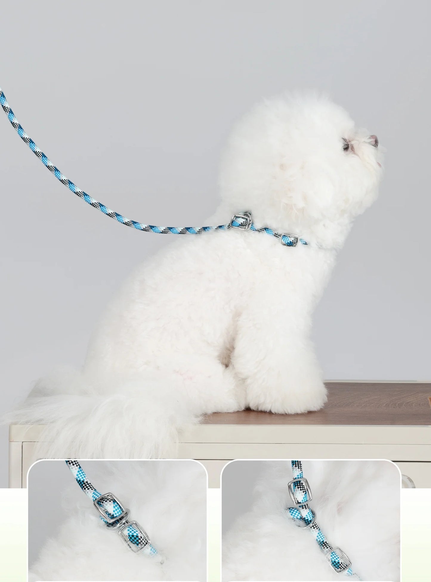 luxury pet P leash with storage bag dog collar with leash pet training leash blue no pull pet adjustable walking leash