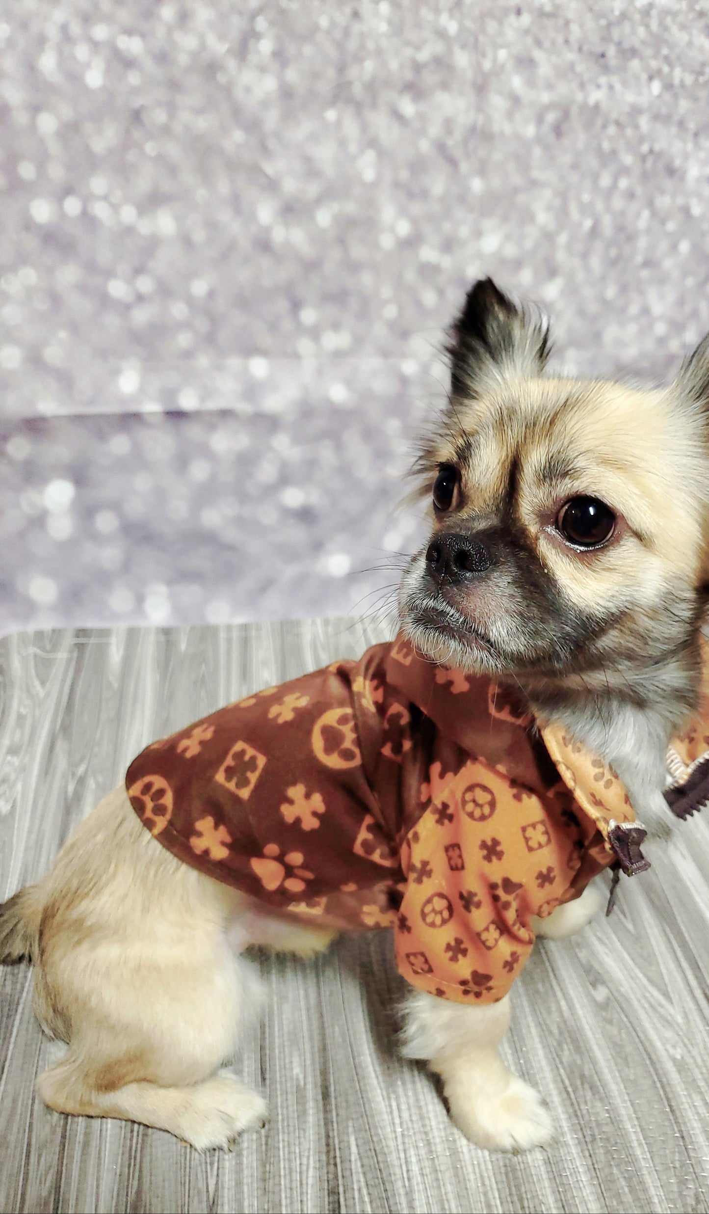 I'm too Bouji for this weather zip-up hoodie- Luxury Dog Apparel