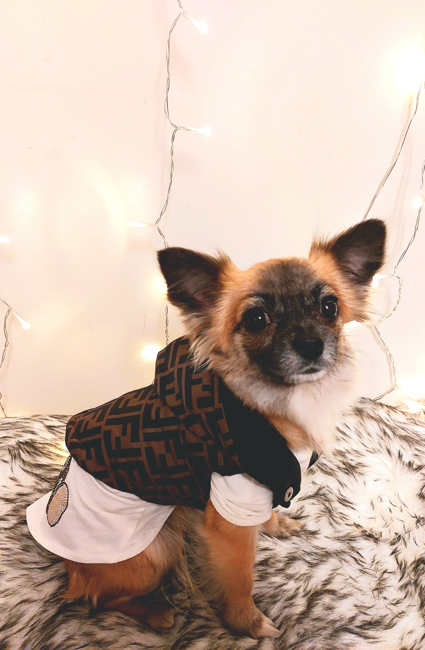Friendi Dazzeled Teddy Bear Luxury Dog Shirt
