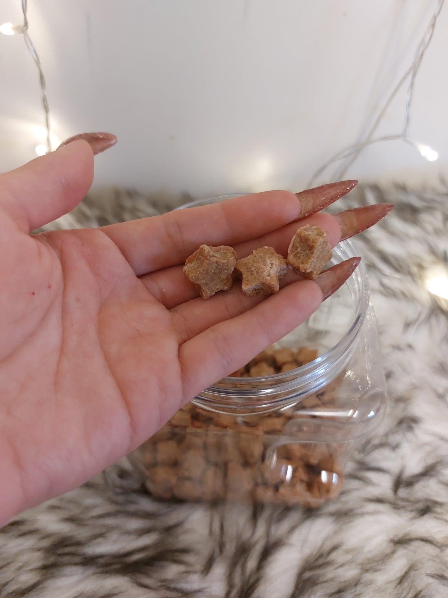 Homemade dog kibble