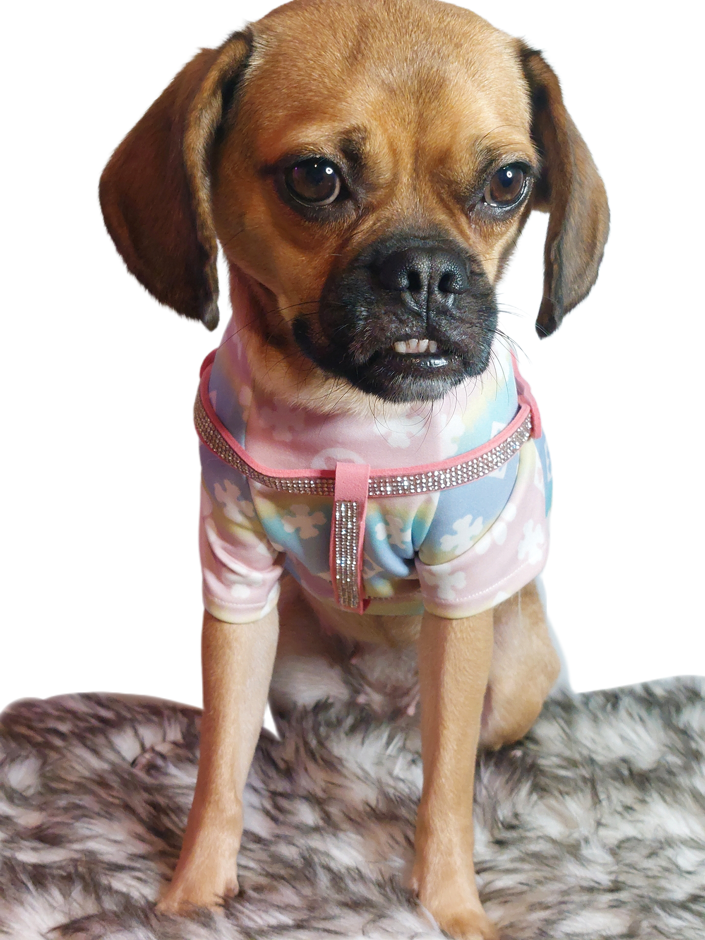 Rhinestone Harness