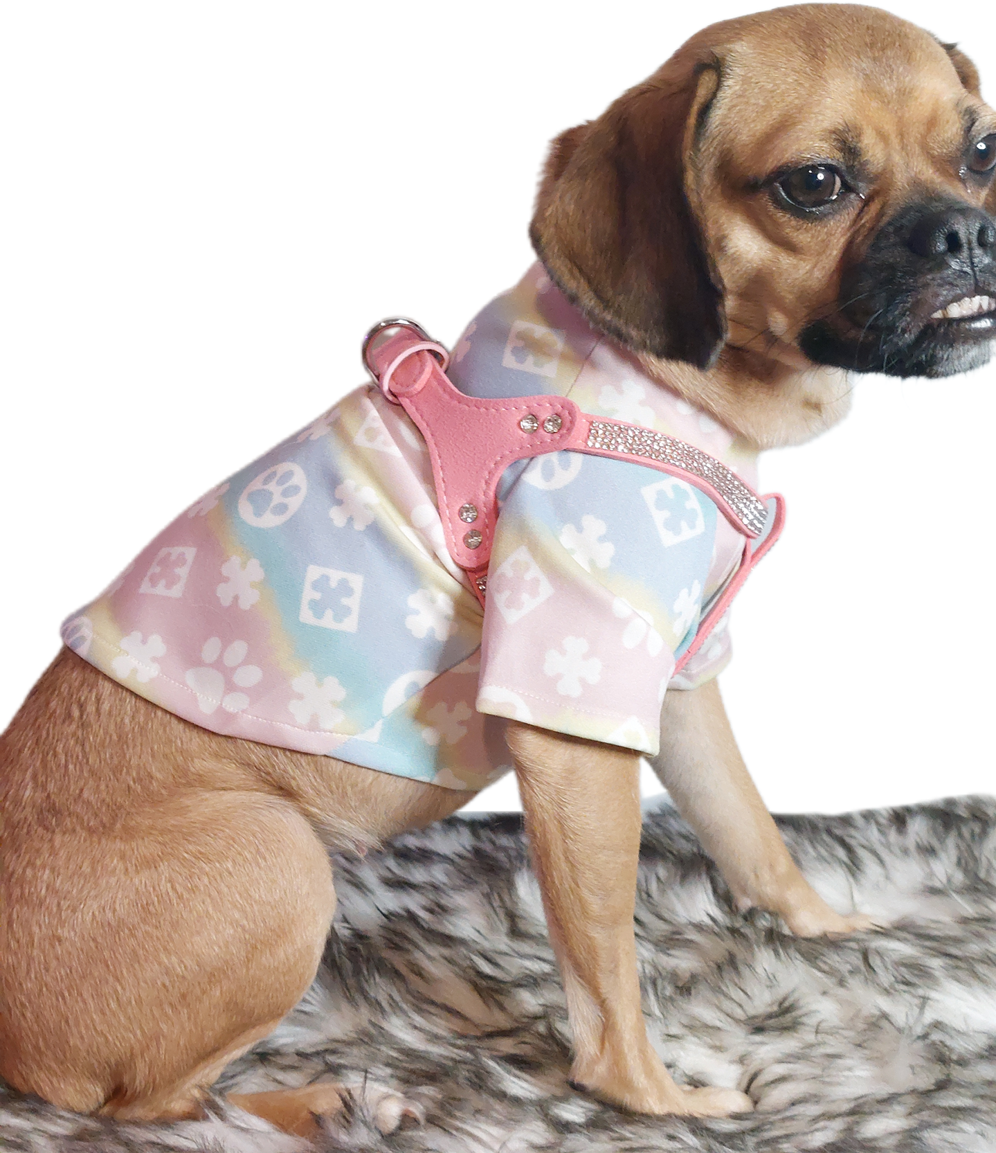 Rhinestone Harness