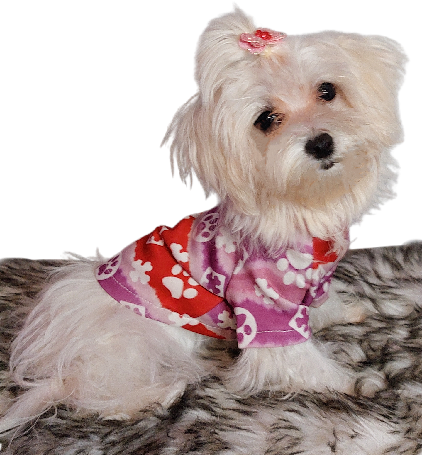 FurryVuitton Paws and Bones T shirt