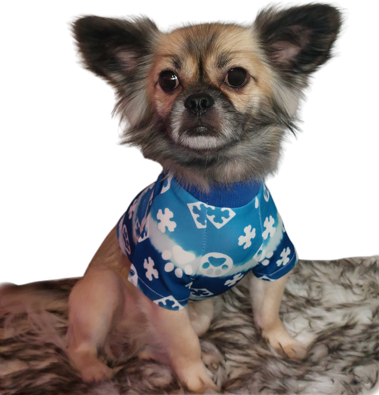 FurryVuitton Paws and Bones T shirt