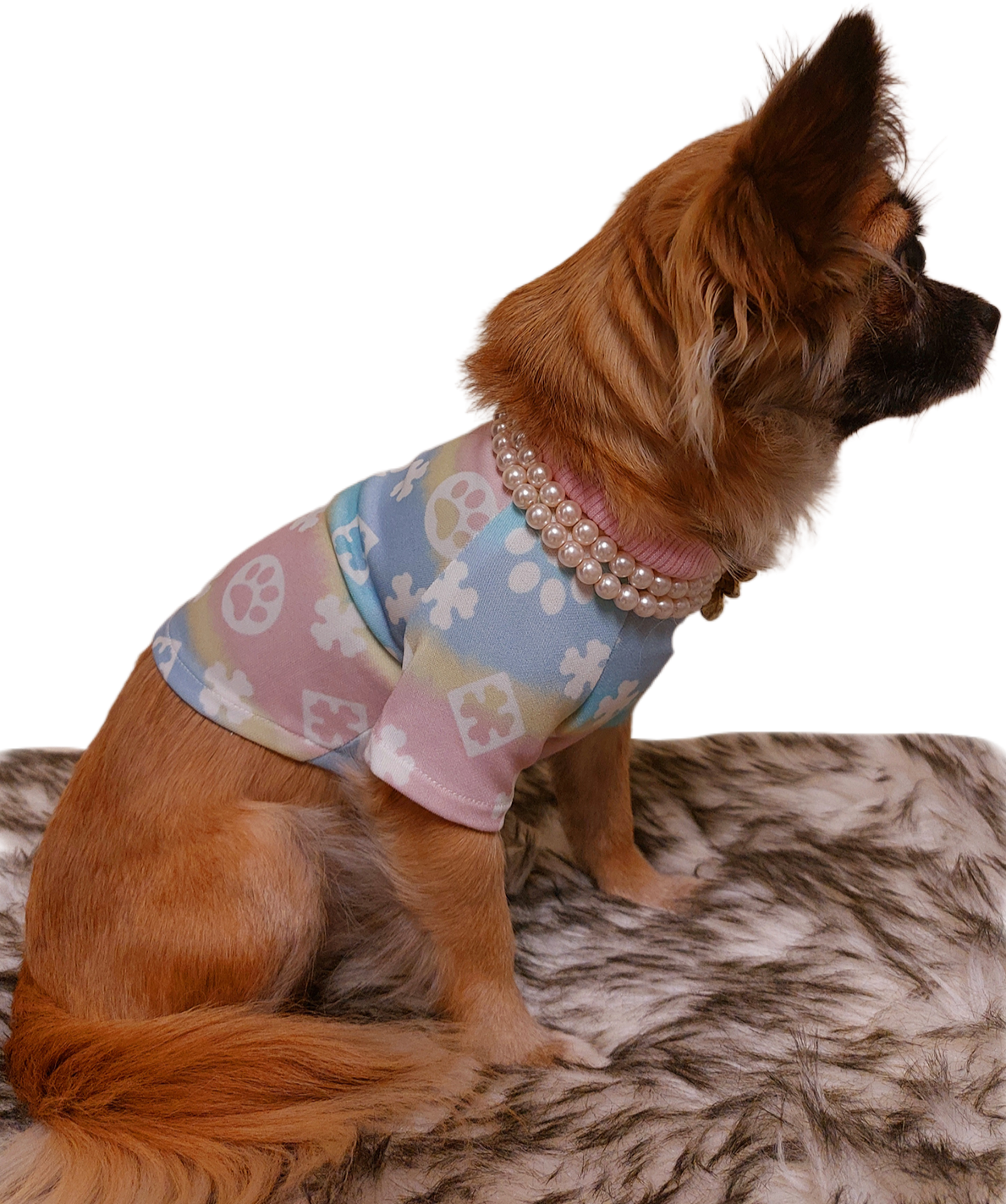 FurryVuitton Paws and Bones T shirt
