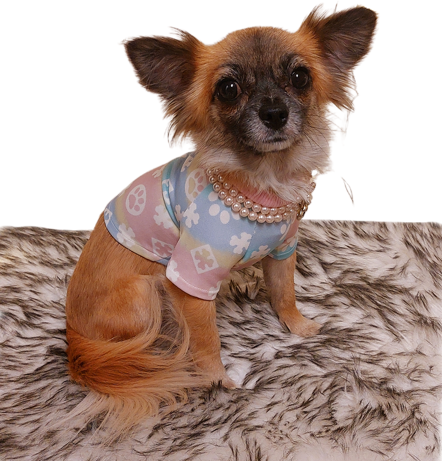 FurryVuitton Paws and Bones T shirt
