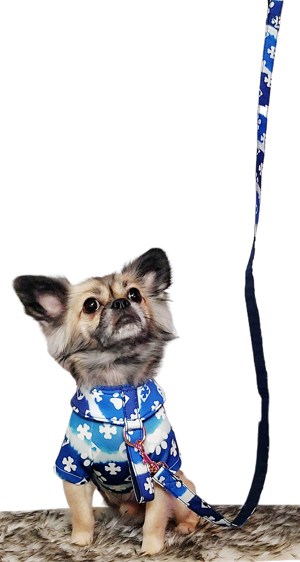 Luxury Fashion FurryVuitton Dog Harness Vest Adjustable-Pet Walking Lead