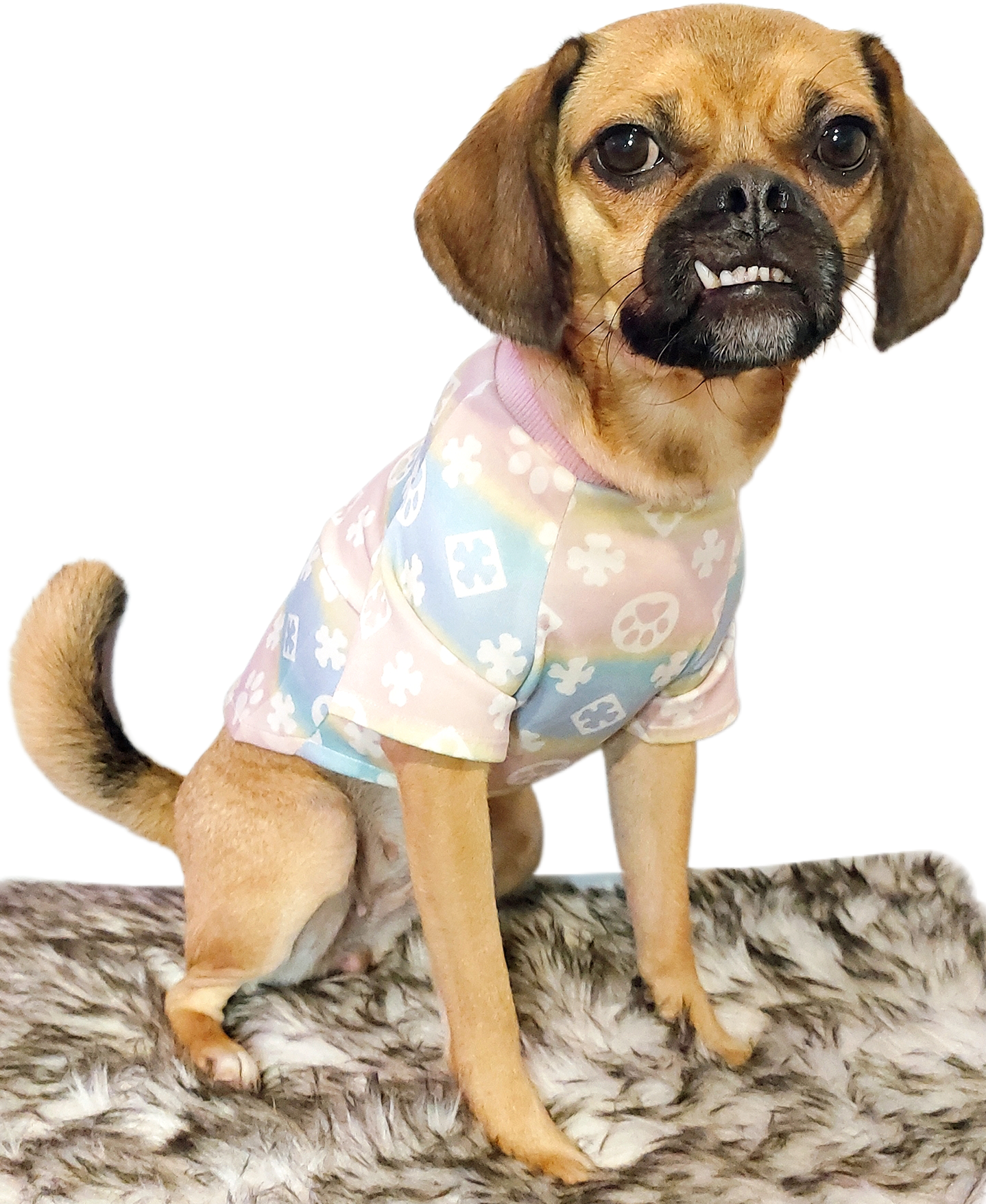 FurryVuitton Paws and Bones T shirt