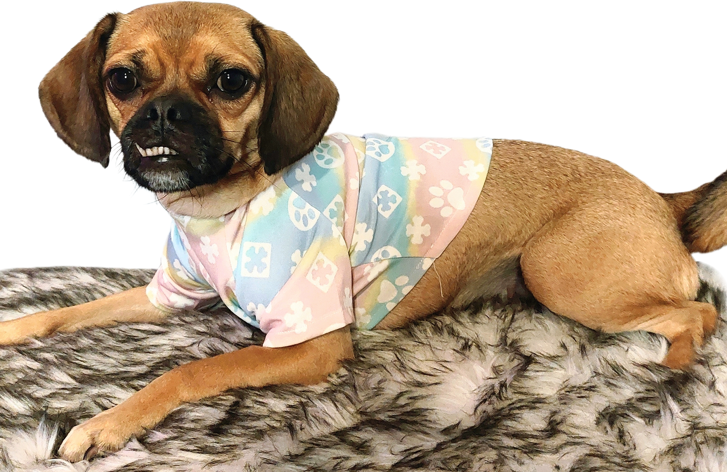 FurryVuitton Paws and Bones T shirt
