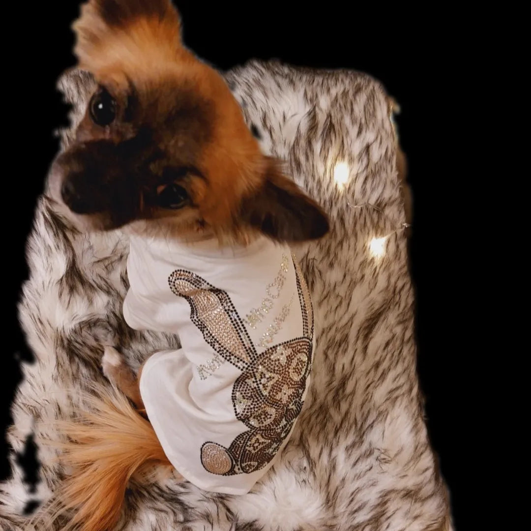Friendi Dazzeled Teddy Bear Luxury Dog Shirt