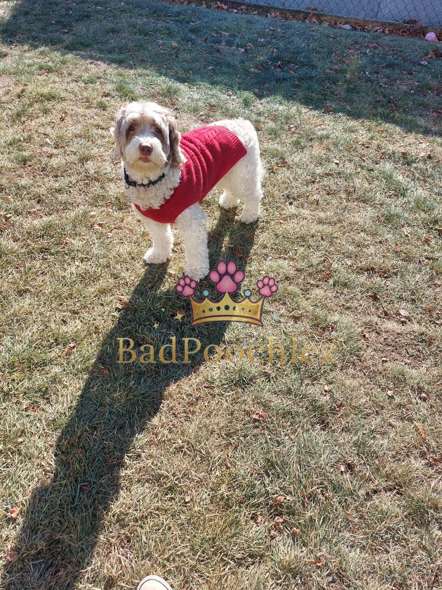 BadPoochiez Boarding Services