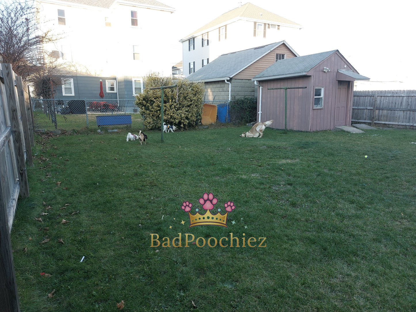 BadPoochiez Boarding Services