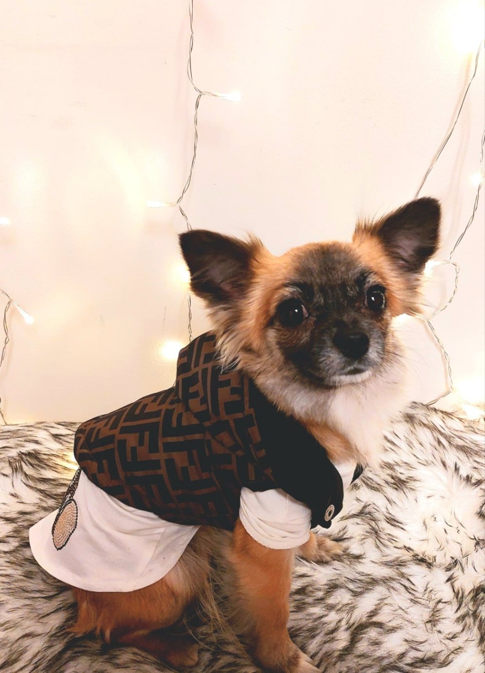 Frendi Brown & Black Jacket Dog Vest