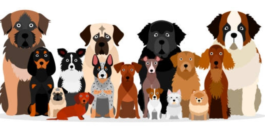 BadPoochiez Boarding Services