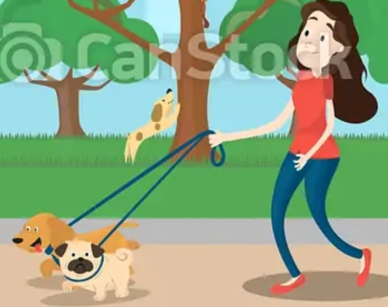 BadPoochiez Drop in Visits Services