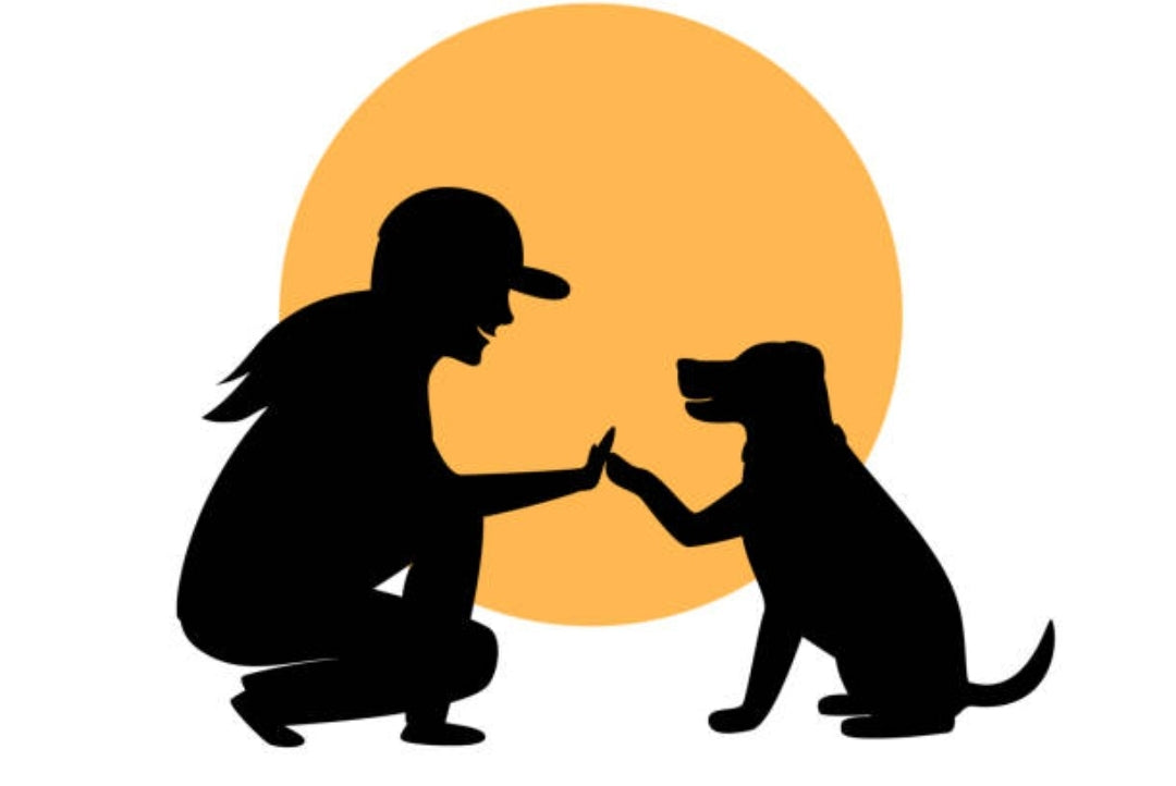 Badpoochiez Dog Walk Service