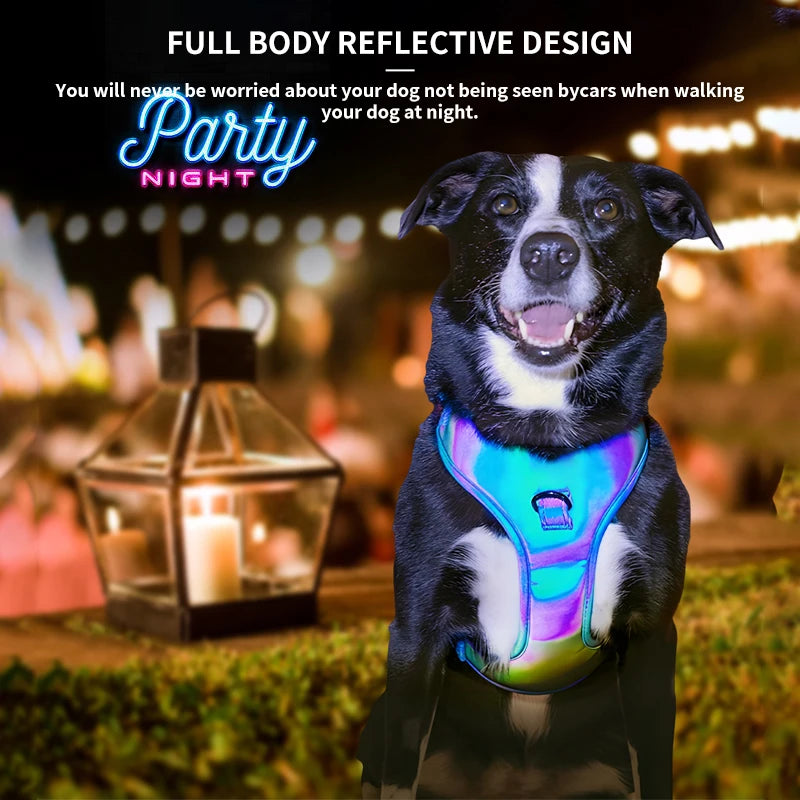 Reflective & Iridescent Dog Harness And Leash 4 piece Set