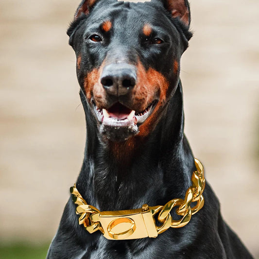 Gold Dog Luxury Necklace Stainless Steel Dogs Collar Small Big Dogs Silver Solid Cuban Link Chain for Pet Supplies Accessories