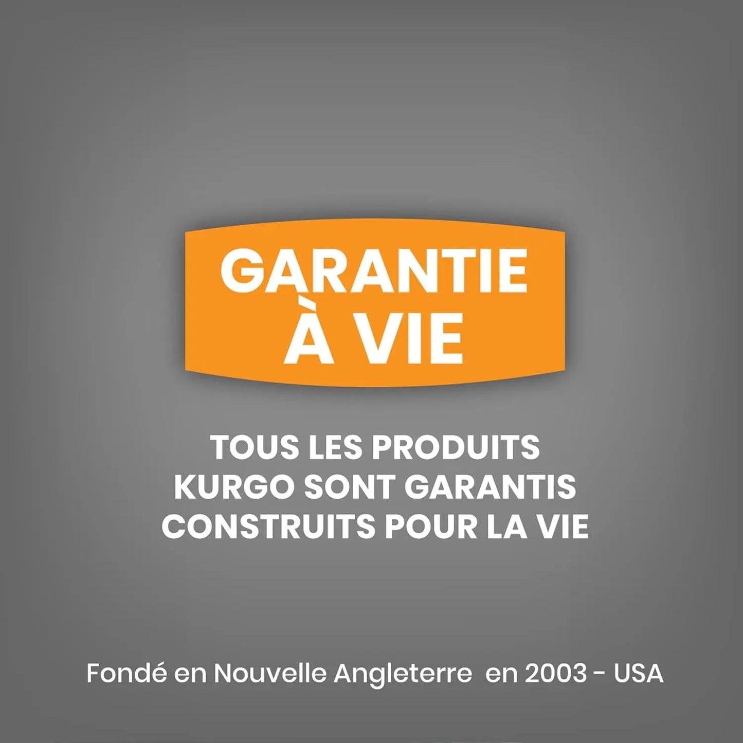 Nomad Carrier Backpack - Airline Approved Dog Bag for Travel - Stylish Pet Backpack with Waterproof Bottom - Lightweight for Hiking - Small Breed Dog Carrier with Tablet Sleeve - Blue