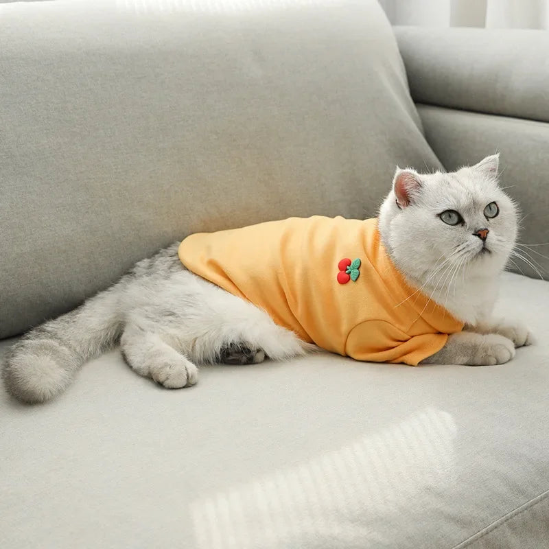 Pet denim overalls thickened overalls skirt cotton four seasons dog clothes embroidered pumpkin pants four seasons universal cor