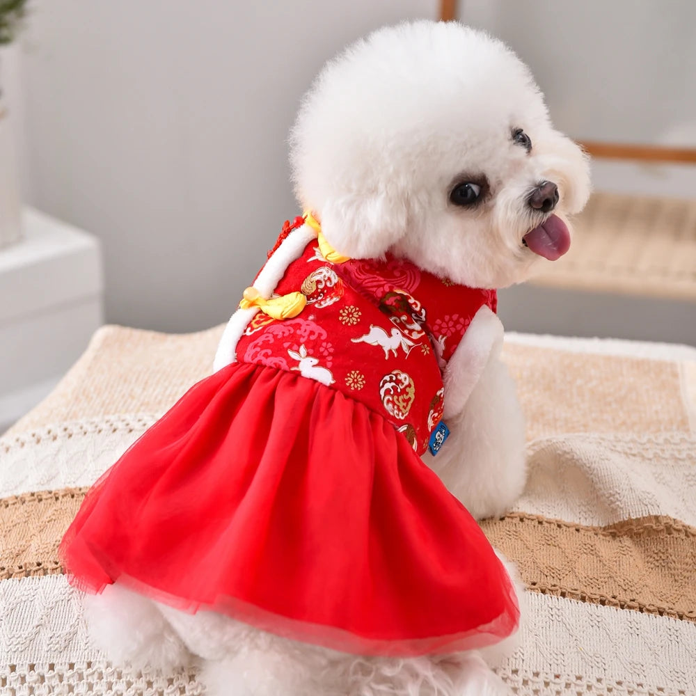 Holiday  Coat And Dress For Small