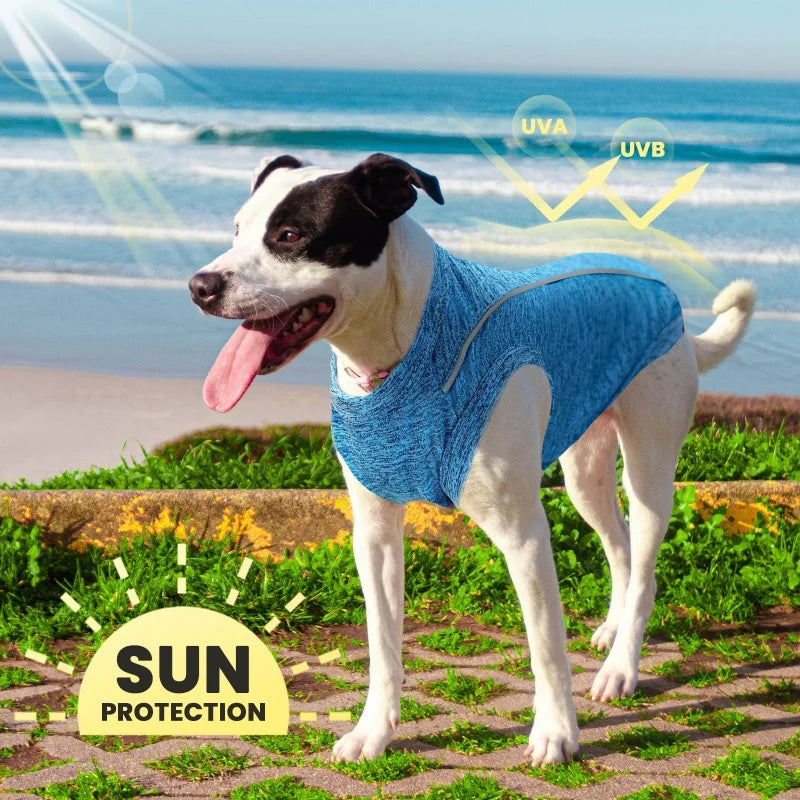 Summer Thin Dog Vest Reflective Dog Sleeveless Clothes Breathable Puppy Shirt Luxury Cat Vest Pet Sunscreen Clothes Dog Pullover