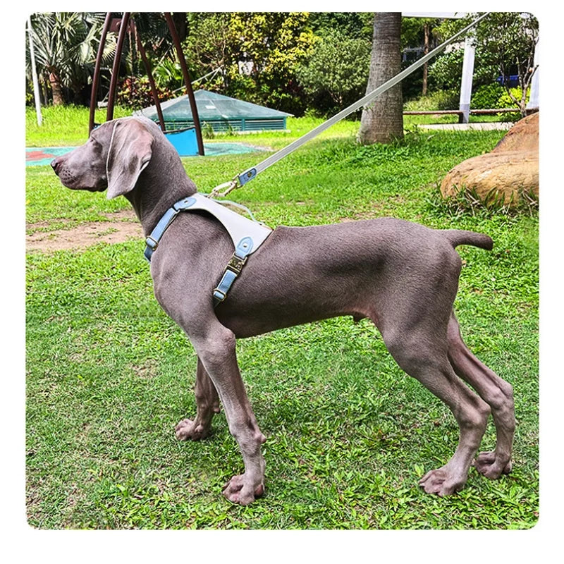 Luxury soft leather dog harness no pull H shaped waterproof pet harness and collar Soft Lightweight dog outdoor walking harness