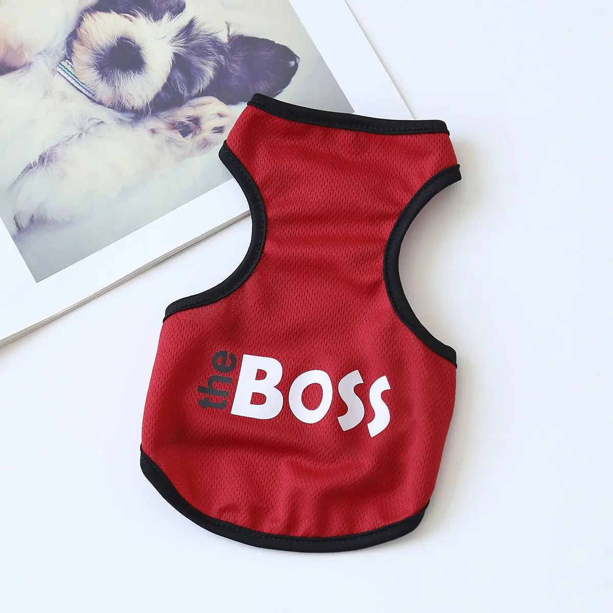 Summer Small Dog Vest Letter Print Pet Pullover for Chihuahua Schnauzer Puppy Clothing Soft Comfortable Pets Sleeveless T-shirt