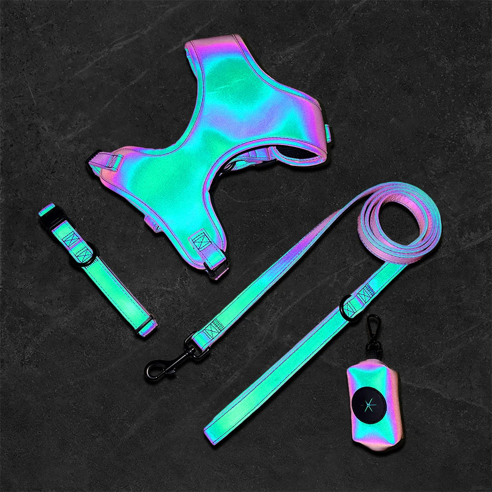 Reflective & Iridescent Dog Harness And Leash 4 piece Set