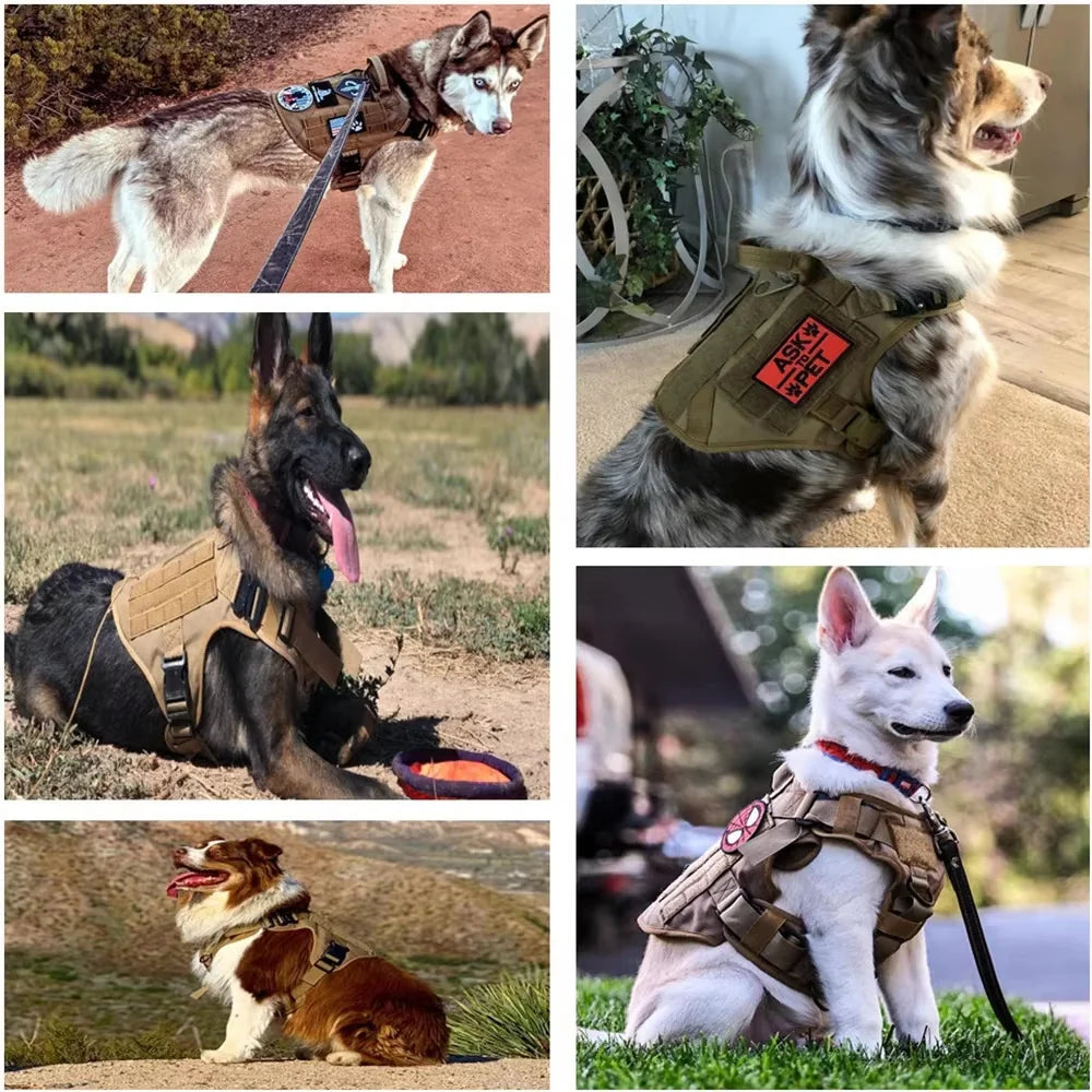 Nylon Camouflage Pet Harness
