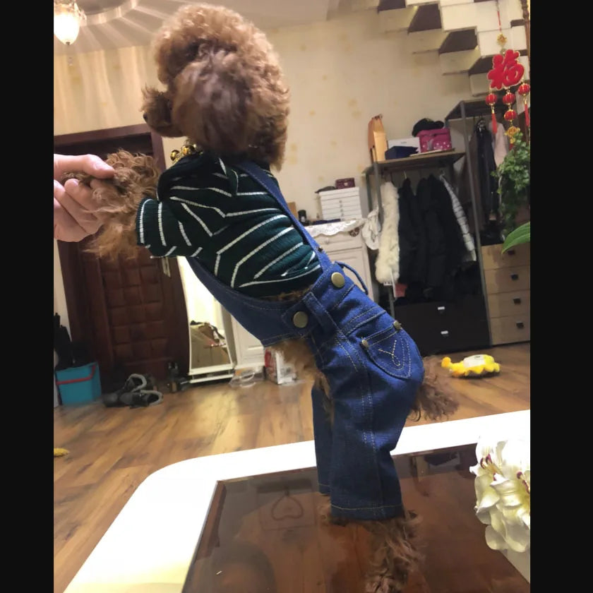 Denim Jumpsuit for Dogs Costumes Cowboy Strap Overalls Pet Dog Clothes French Bulldog Yorkshire Terrier Puppy Dog Jeans Pants XL