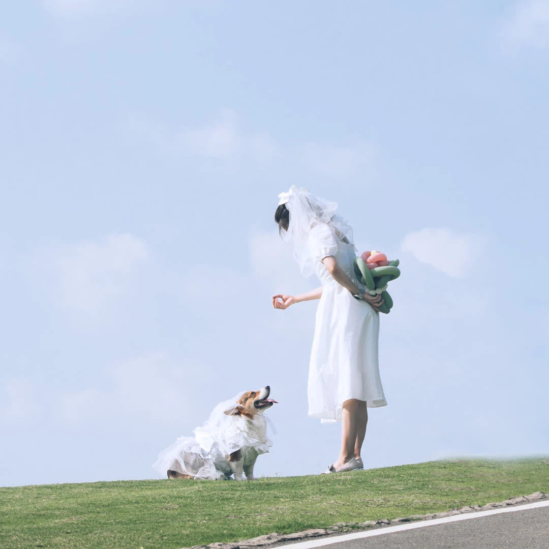 Luxury White Lace Ruffles Wedding Dress with Big Ribbon Bow