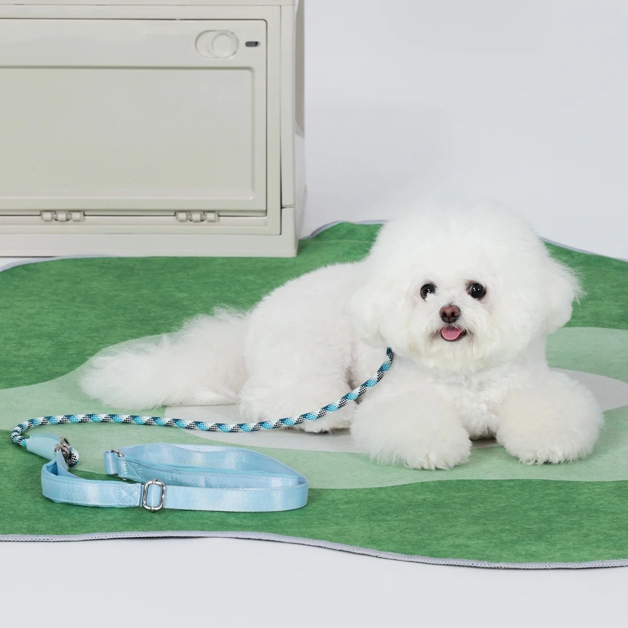 luxury pet P leash with storage bag dog collar with leash pet training leash blue no pull pet adjustable walking leash