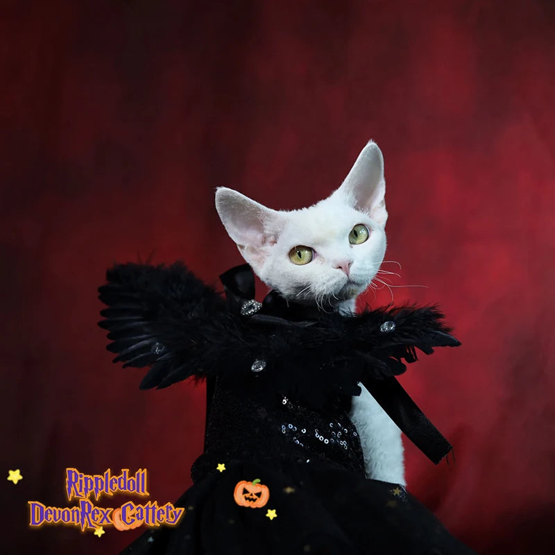 Fine Handmade Pet Dog Clothes Black White Feather Wing Decor Luxury Cosplay Princess Dress For Small Medium Dog Puppy Clothing