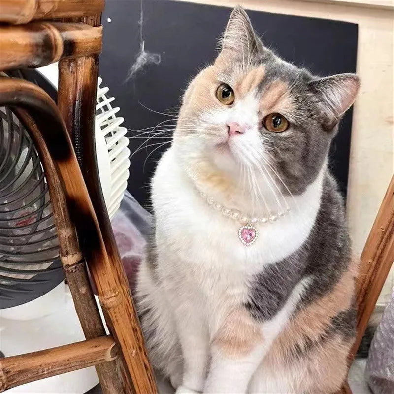 Pearl Dog Collar Necklaces Luxury Bling Rhinestones Wedding Cat Collar Heart Jewelry Dogs Cat Clothes Costume Pet Accessories