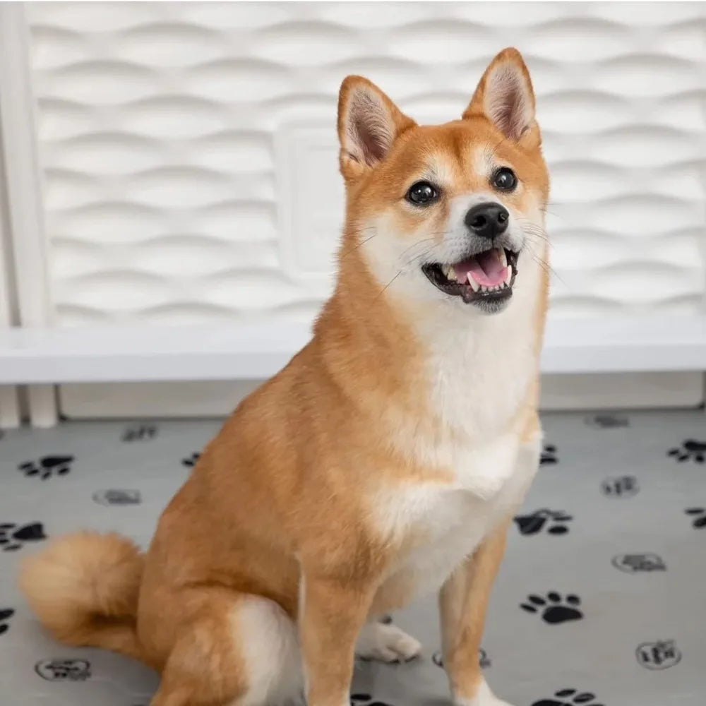 Small Padded Dog Whelping Box with Rails, Puppy Supplies, Black Pad, 28x28x18 Inches