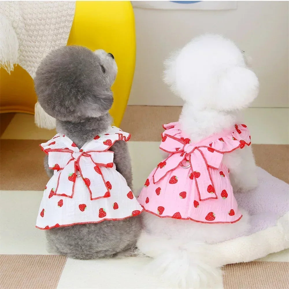Luxury Summer Strawberry Dress small-dog Clothes Dog