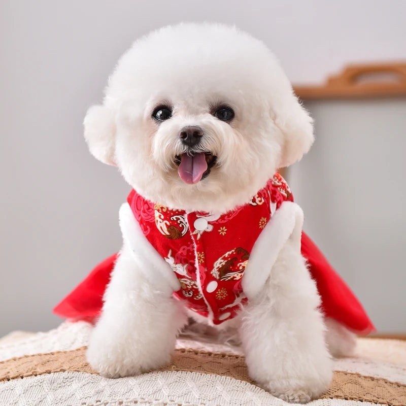 Holiday  Coat And Dress For Small