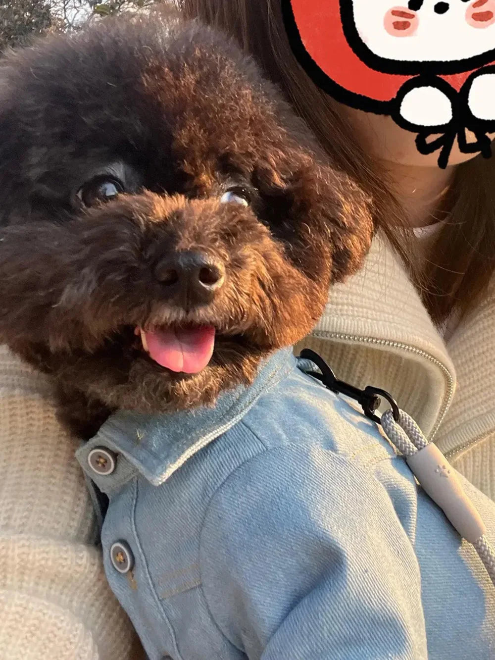 Cowboy Dog Shirt Spring Autumn Handsome Pet Shirt For Small Medium Teddy Bichon Shirena Dog Coat Puppy Spring Clothes Pet Outfit