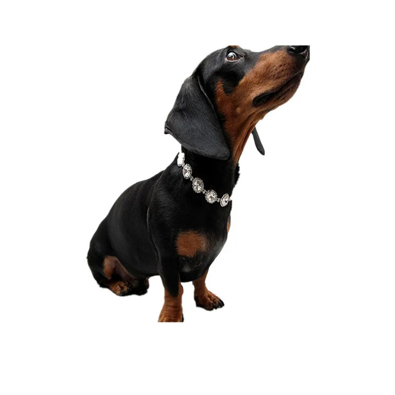 Pet Supplies Luxury Satellite Stone Rhinestone Pet Necklace Jewelry Dog Collar