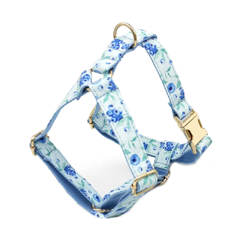 Dog Harness and Leash Set Mesh Padded Soft Pet Harness for Small Dogs Blueberry Pattern Luxury Custom Name Dog Collar Adjustable