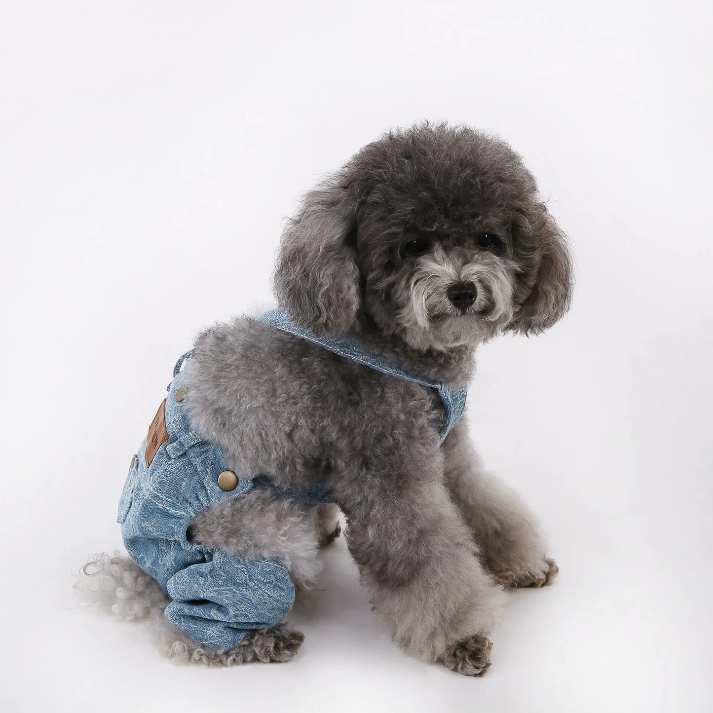 Newly Designed Pure Cotton Comfortable Pet Jeans For Teddy Bear, Schnauzer, Maltese And Other Small Dogs' Belt Pants