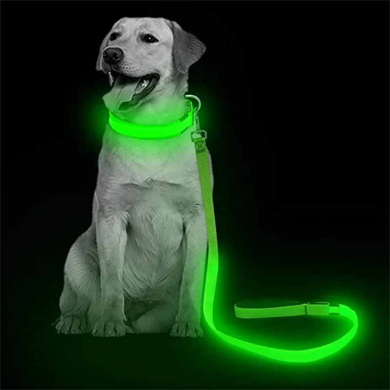 Led Glowing Leash Luminous Dog Collar With Pendant Set Luxury Light For Kinds Dogs Cat Night Safety Flashing Collar Accessories
