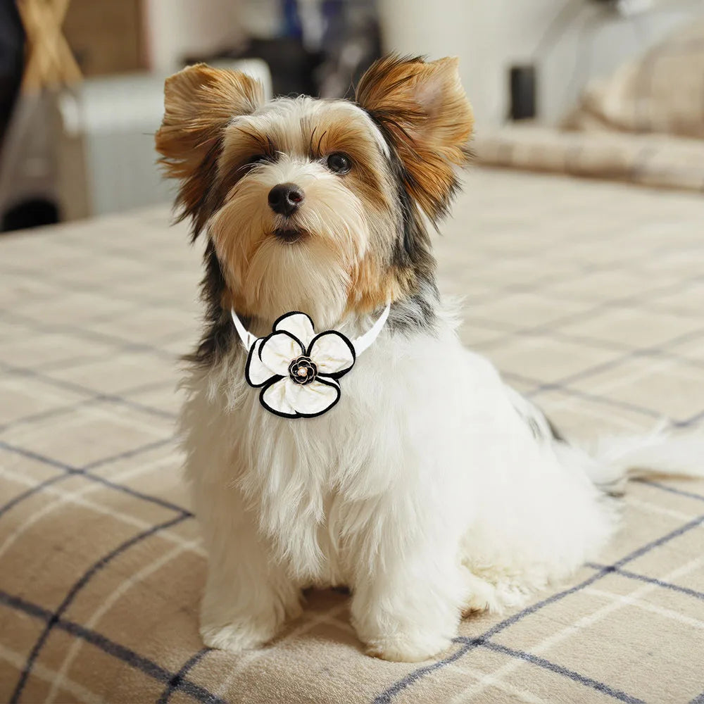 New Dog Bowties 20/40PCS Pet Supplies For Small Dogs Adjustable Luxury Collars Pet Dog Neckties Puppy Bowknots Pet Accessories